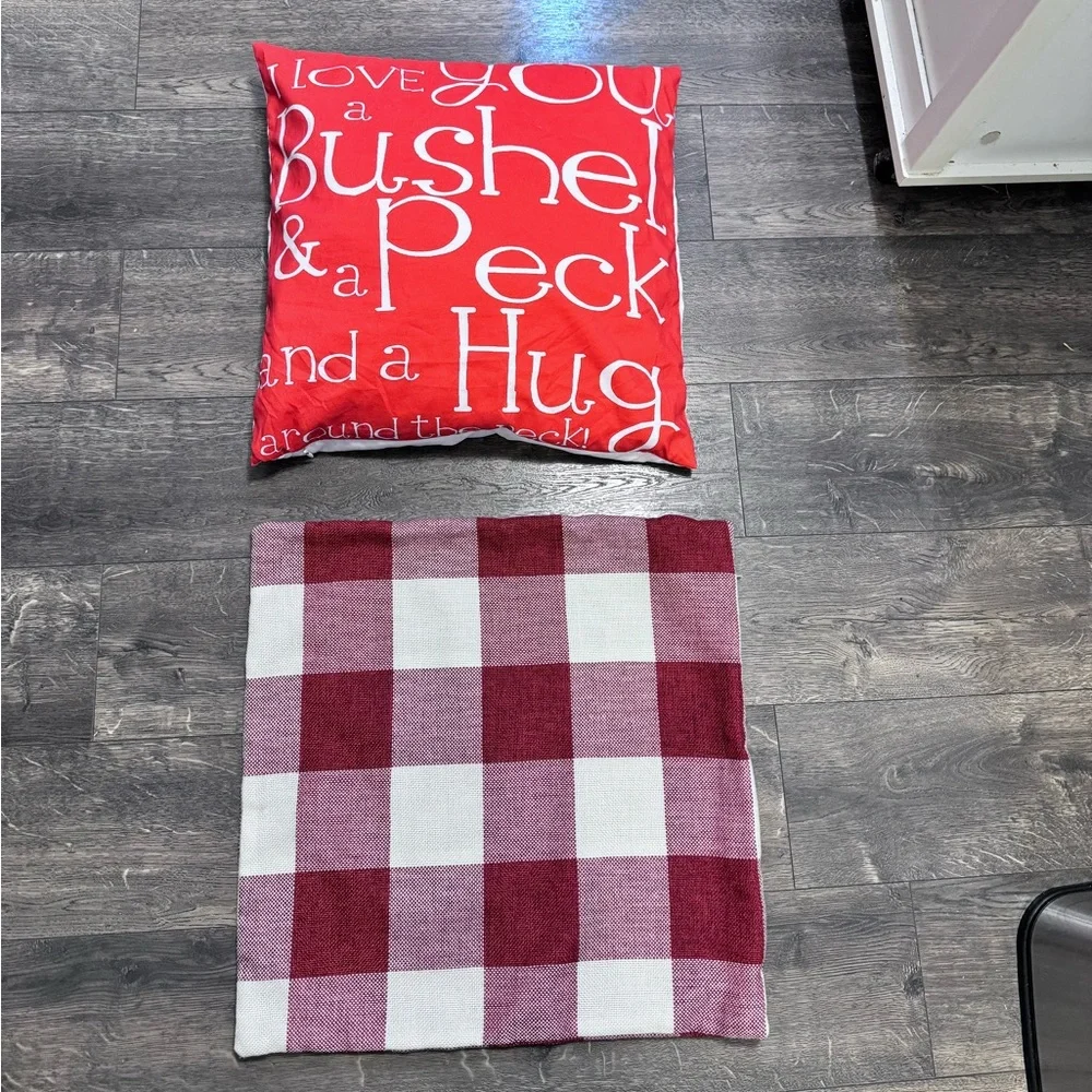 Set‎ of one Throw Pillow and one Throw Pillowcase.